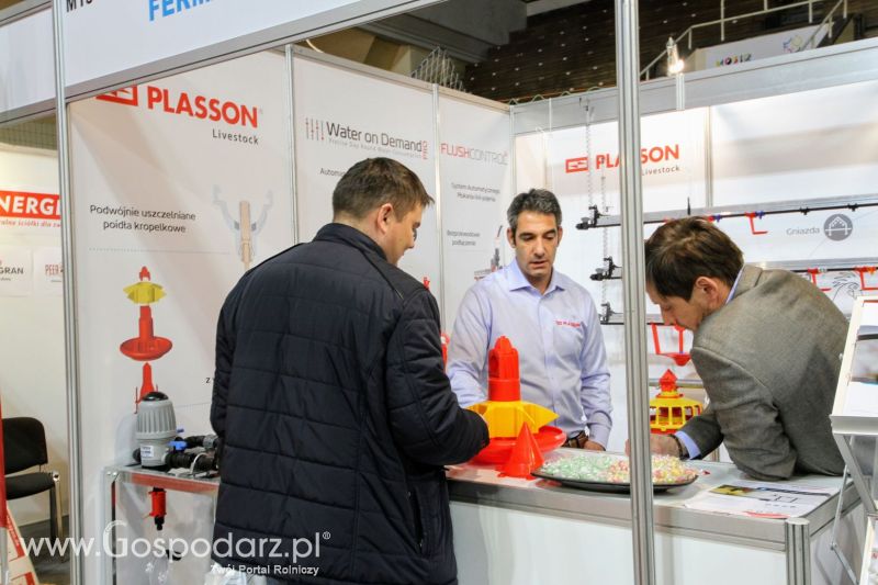 Ferma 2019 dzień 1