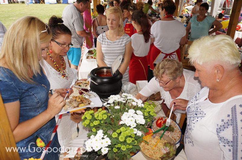 Święto Indyka - Nowa Wieś k. Iławy 26 czerwca 2016