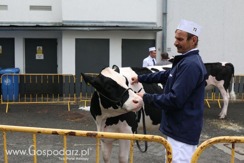 Krajowa Wystawa Zwierząt Hodowlanych w Poznaniu 2017 (piątek, 5 maja)