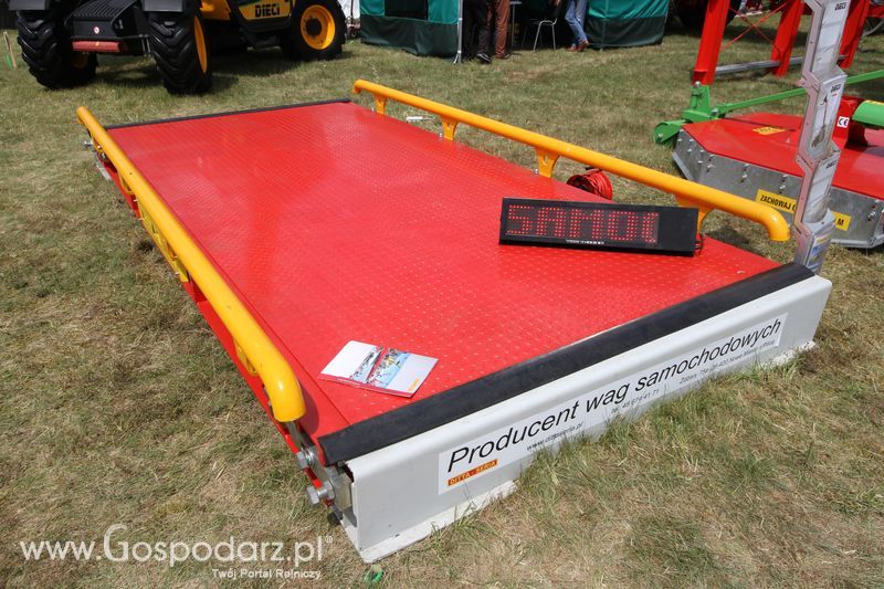 Ditta-Seria na OPOLAGRZE 2016