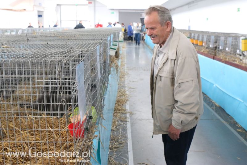 Krajowa Wystawa Zwierząt Hodowlanych w Poznaniu 2017 (sobota, 6 maja)