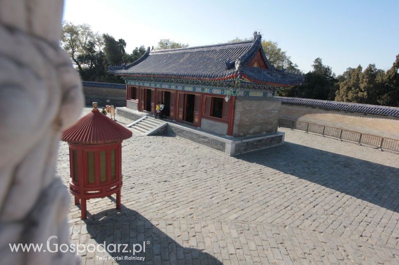 Gospodarz.pl w Chinach