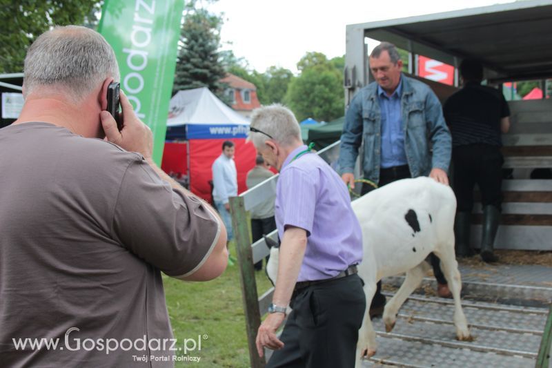 XX Targi Rolnicze Lubniewice 