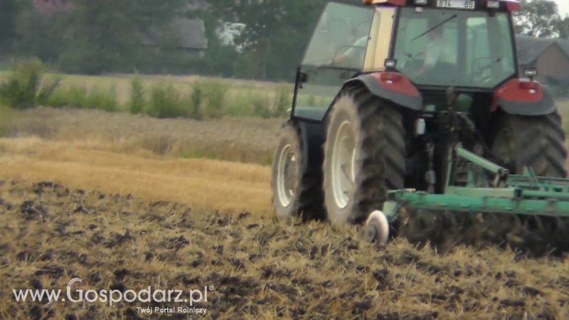 Talerzowane 2013 