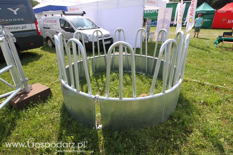  Regionalna Wystawa Zwierząt Hodowlanych W Szepietowie 2016 z Gospodarz.pl