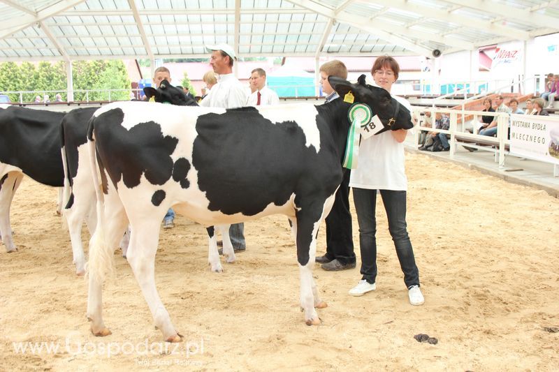 Wystawa bydła Sielinko 2011