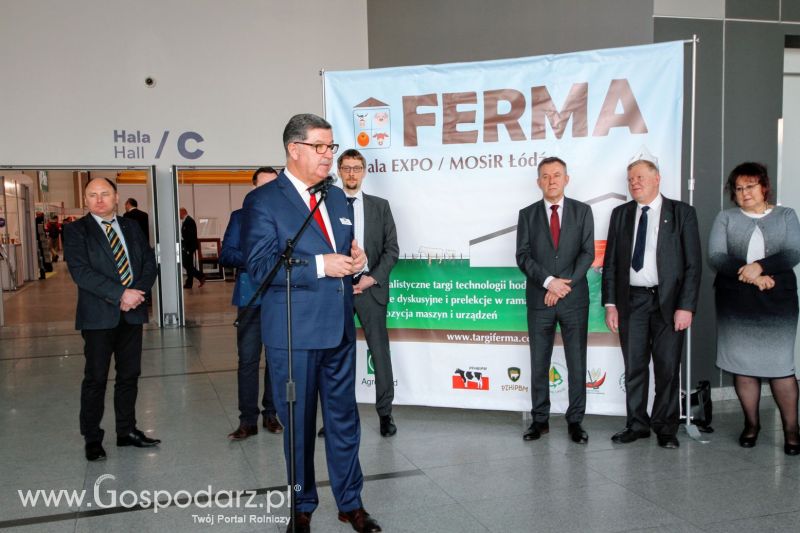 Ferma 2019 dzień 1