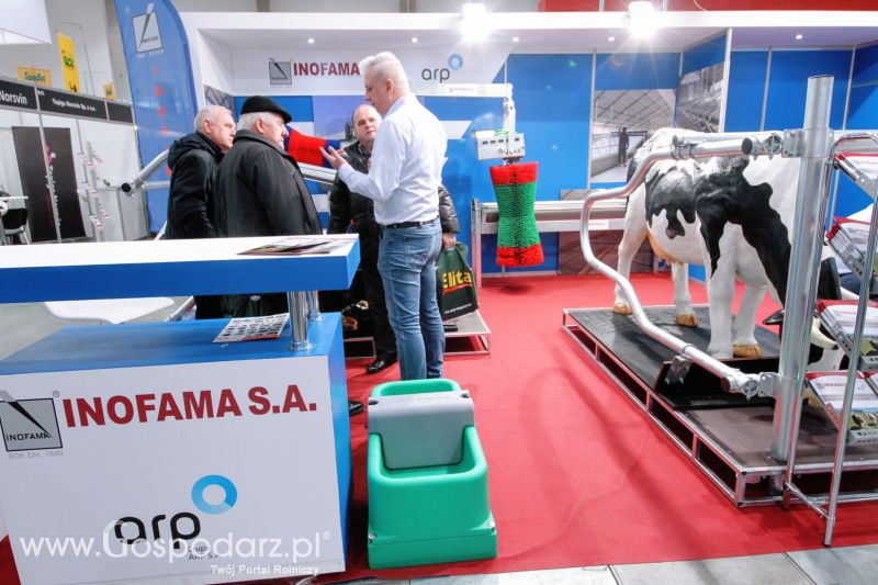 Ferma 2019 dzień 3