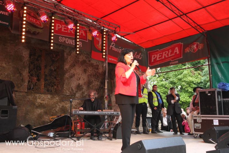 Ogólnopolskie Targi Sztuki Kowalskiej - Wojciechów 2013