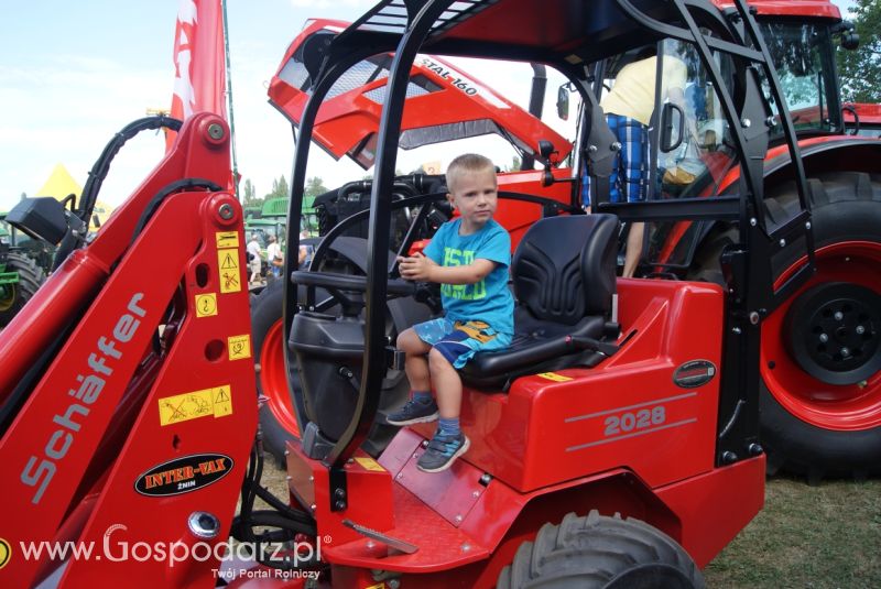 PAŁUCKIE TARGI ROLNE 22-23.08.2015 