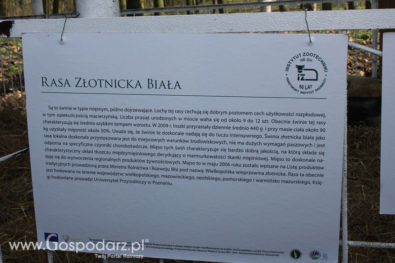 Targi Rolno-Ogrodnicze AGROMARSZ Marszew 2011