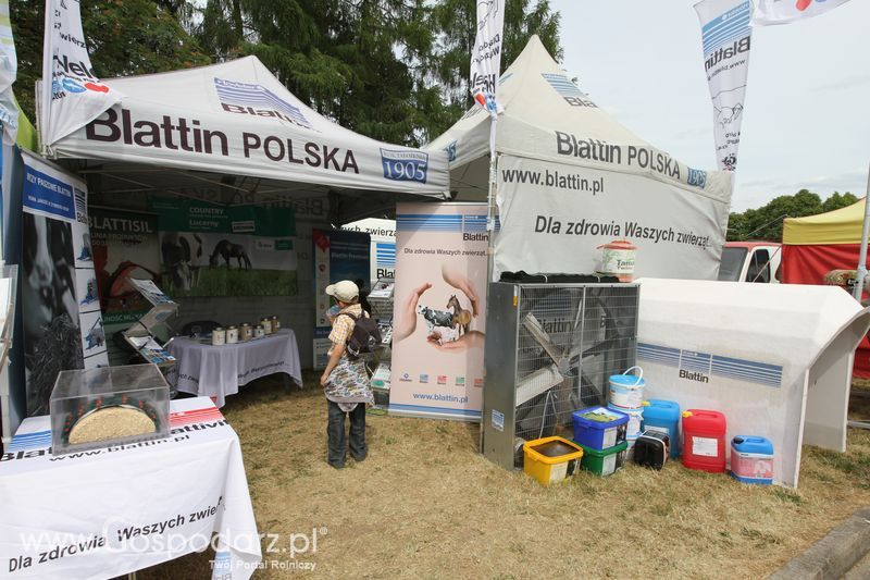 Zielone AGRO SHOW - Polskie Zboża 2015 w Sielinku