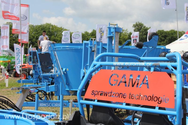 Regionalna Wystawa Zwierząt Hodowlanych i Dni z Doradztwem Rolniczym w Szepietowie-sobota