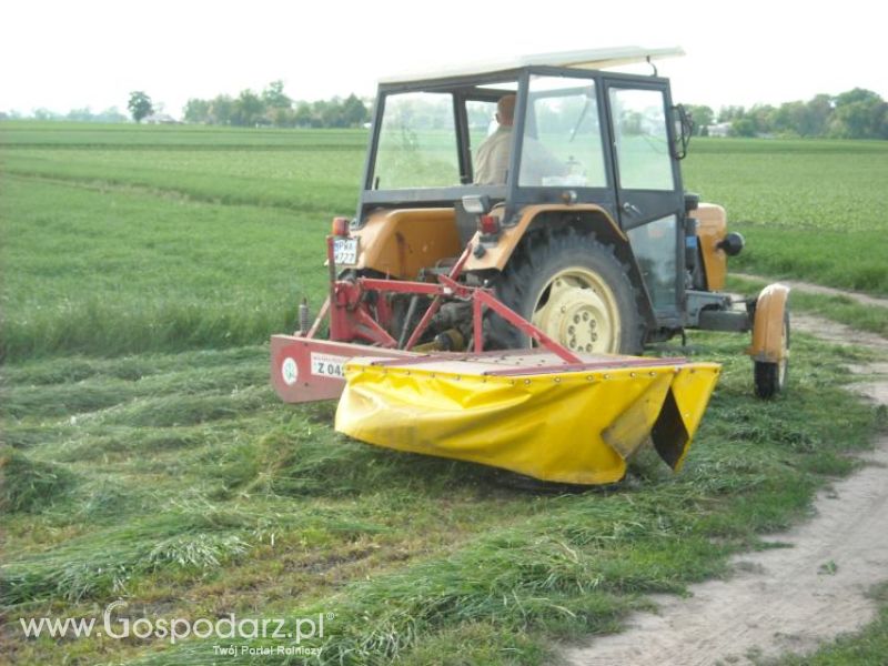 pierwsze sianokosy w roli głownej ursus c330M...