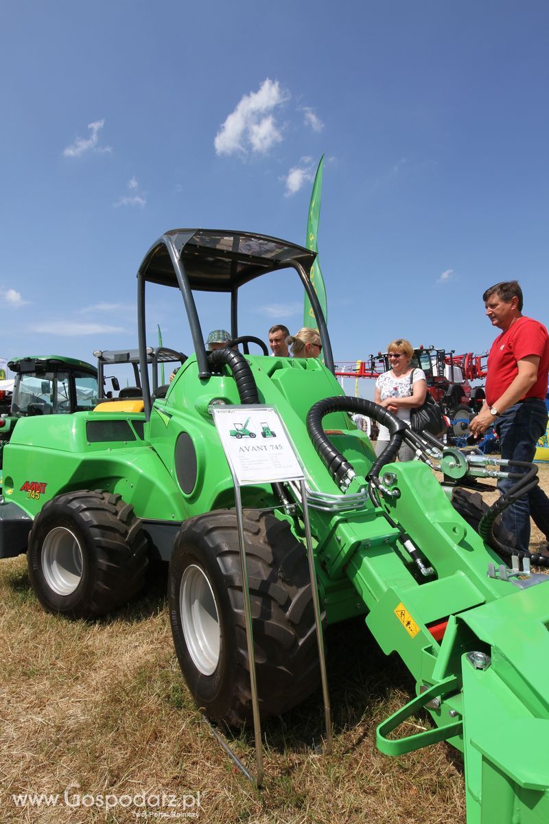 Serafin na OPOLAGRZE 2015