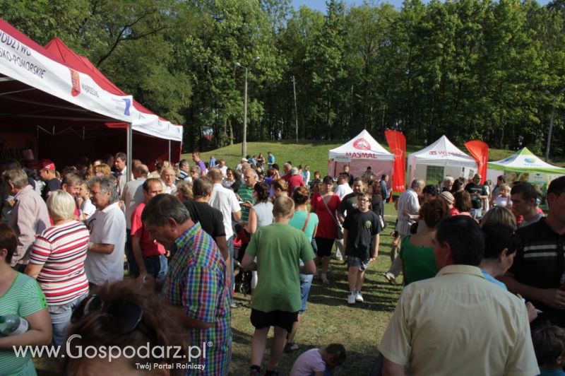 II Festiwal Wieprzowiny w Wąbrzeźnie