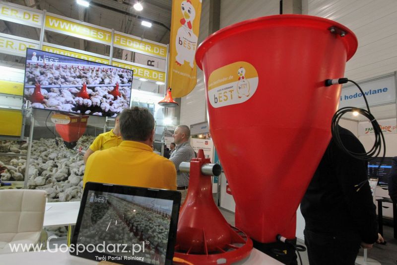 FERMA 2020 dzień 2