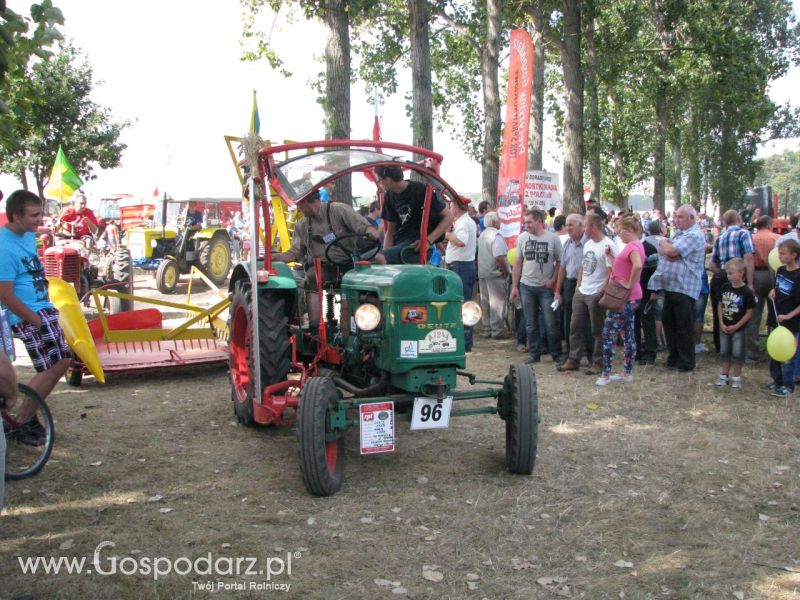 Pokazy w Wilkowicach 25 sierpnia