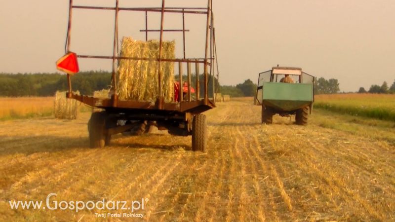 Zbiór Słomy 2013
