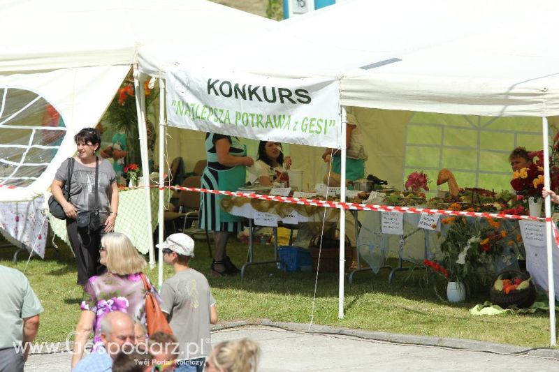 X Święto Gęsi w Biskupcu