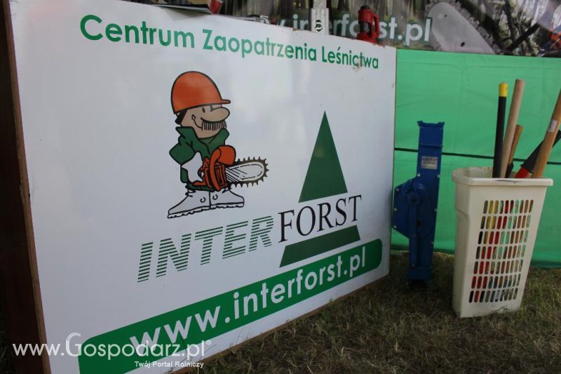 Inter Forst na Opolagrze 2013