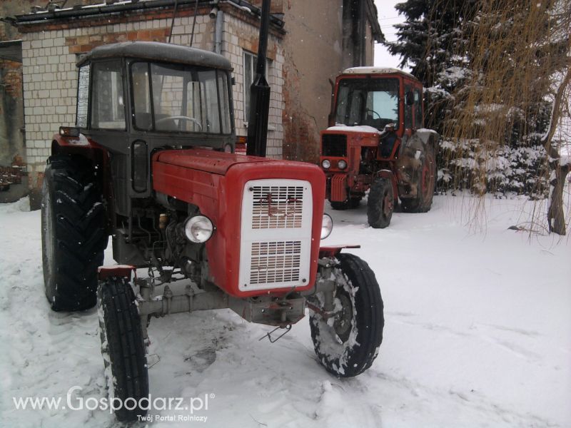 Zima 2012