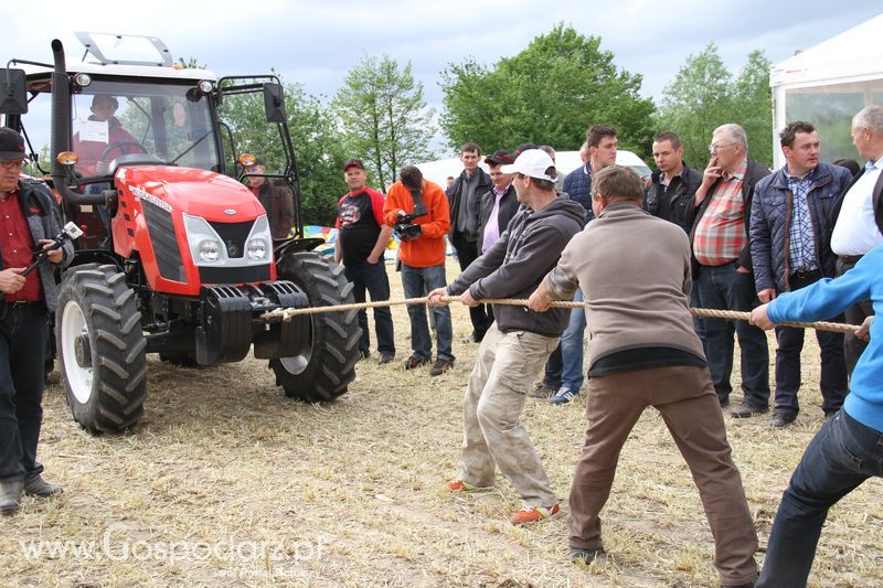 Majówka z Zetorem w Brzeziu