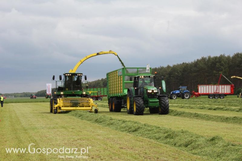 Pokazy maszyn Polskie Zboża Zielone Agro Show 2013