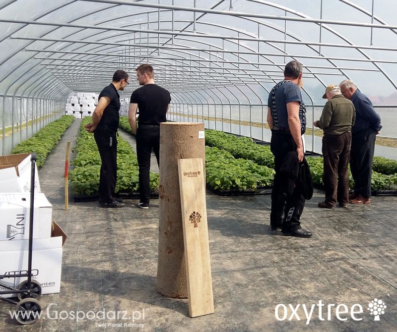 Fotorelacja z majowego Pokazowego Sadzenia Oxytree