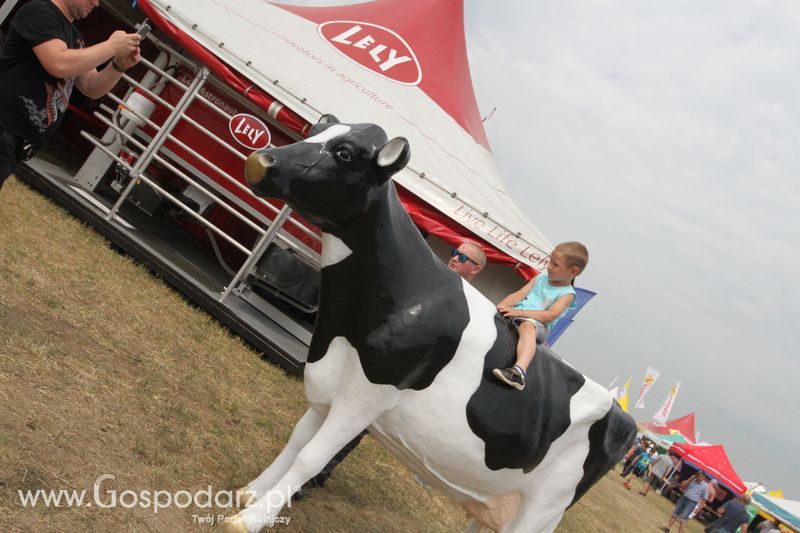 Lely na OPOLAGRA Kamień Śląski 2018