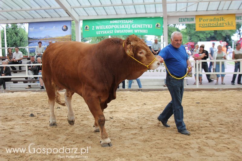 Czempioni XVII Regionalnej Wystawy Zwierząt Hodowlanych Sielinko 2011