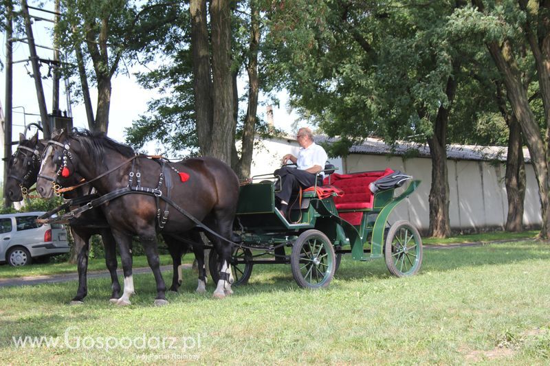 Ogólnopolski Festiwal Wieprzowiny w Sielinku