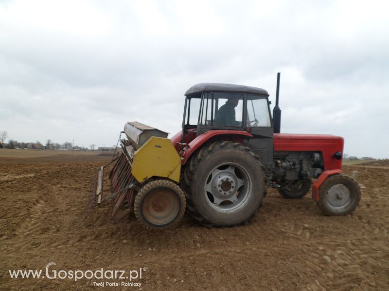 Wiosenne Przesiewki 2012 