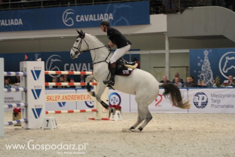 CAVALIADA 2013 w Poznaniu