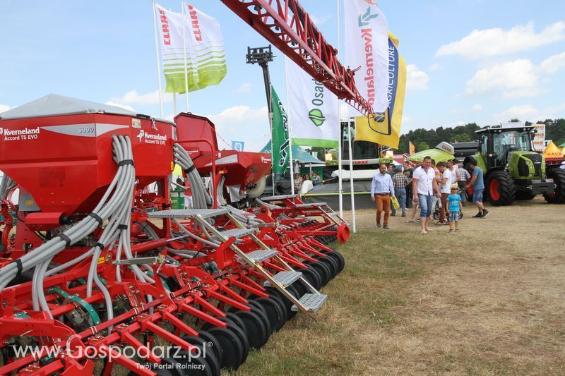 OPOLAGRA 2015 w Kamieniu Śląskim