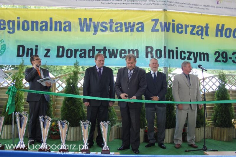 Regionalna Wystawa Zwierząt Hodowlanych i Dni z Doradztwem Rolniczym w Szepietowie-sobota
