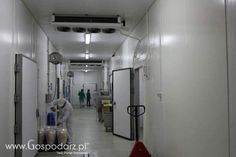 Sesja dziennikarska pt. „Wpływ środków unijnych na rozwój obszarów wiejskich na przykładzie popegeerowskiej gminy Kolsko”