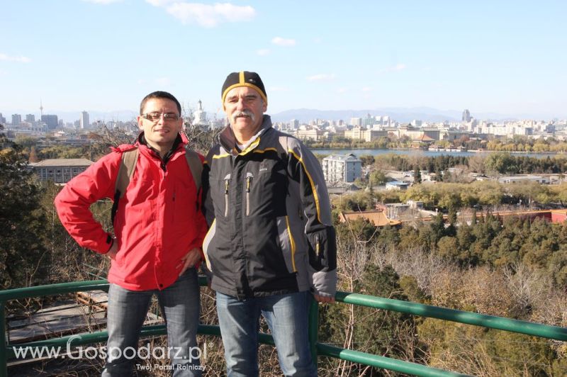 Gospodarz.pl w Chinach