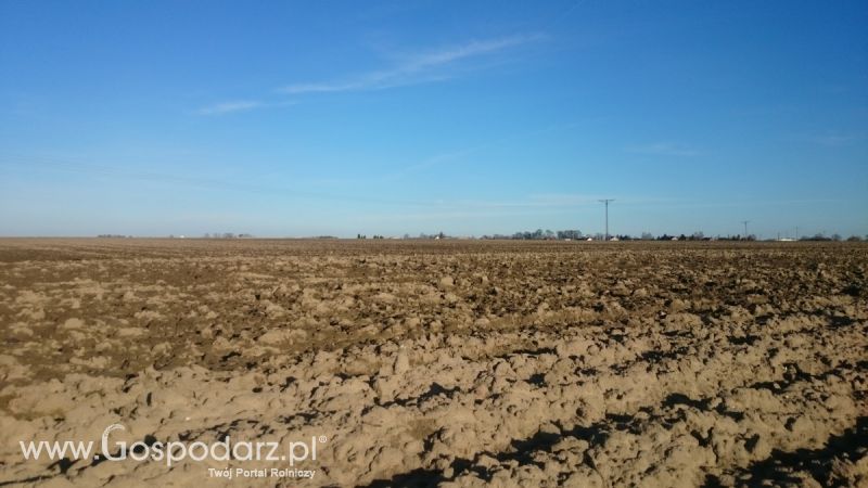 Wiosenny przegląd pól