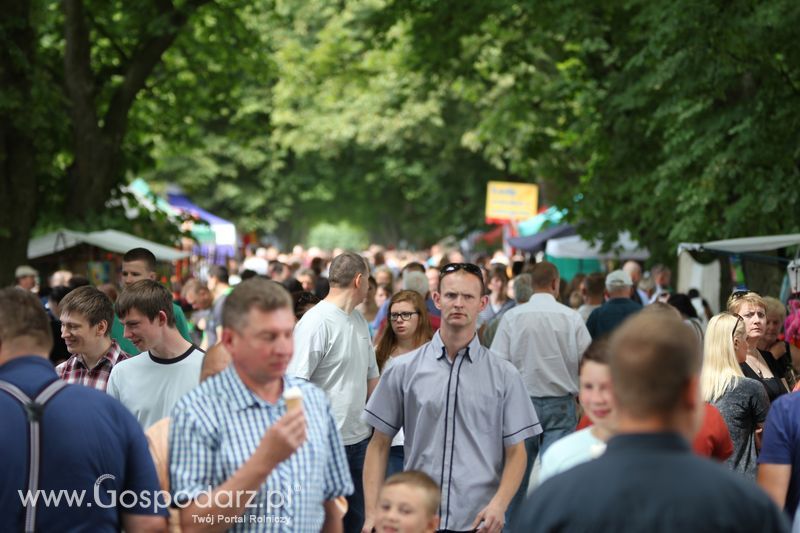 Targi rolne w Szepietowie (27-28.06.2015)