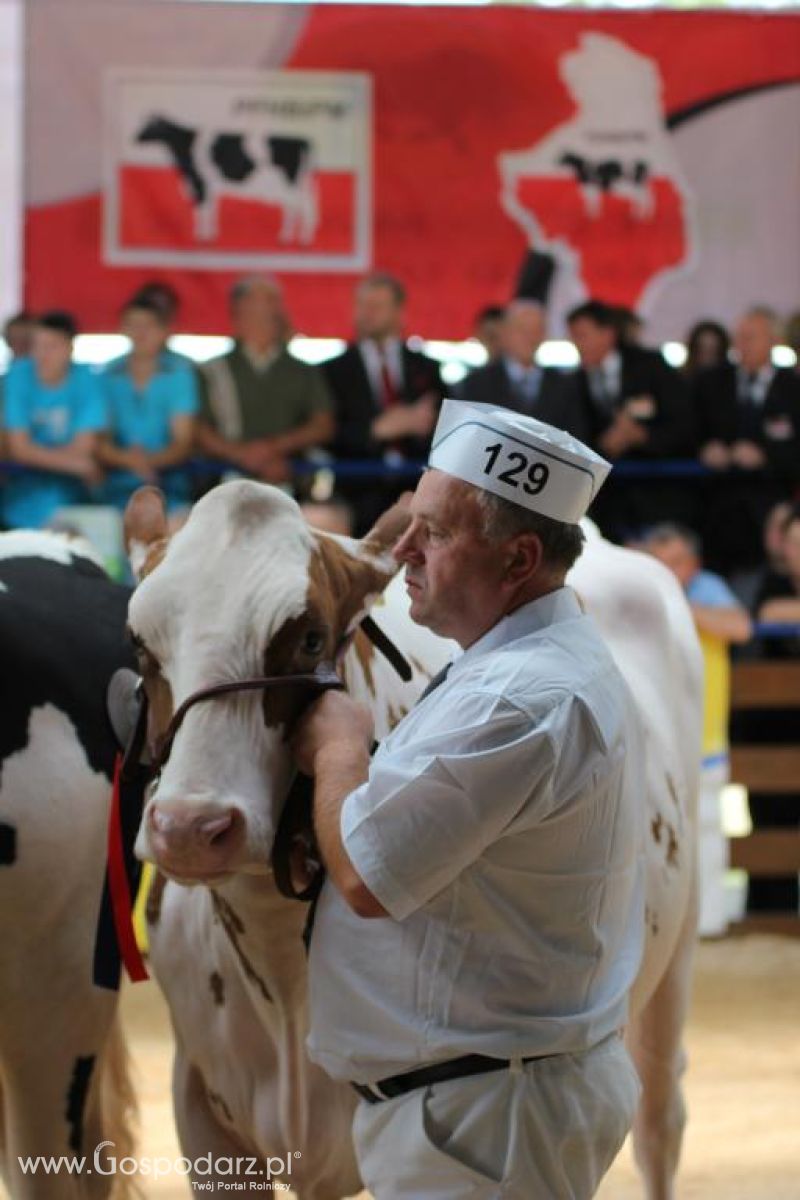 VIII Ogólnopolska Wystawa Bydła Hodowlanego, XXI Regionalna Wystawa Zwierząt Hodowlanych i Dni z Doradztwem Rolniczym w Szepietowie