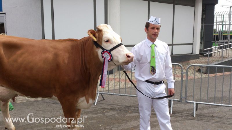 KWZH 2015. Bliskie spotkania ze zwierzętami hodowlanymi