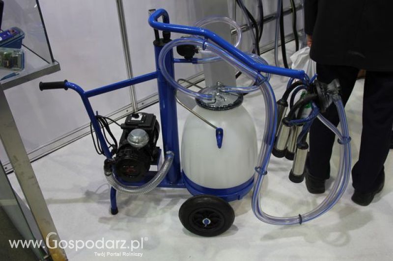 Relacja z XI Międzynarodowych Targów Fermy Bydła - dzień 2 c.d.