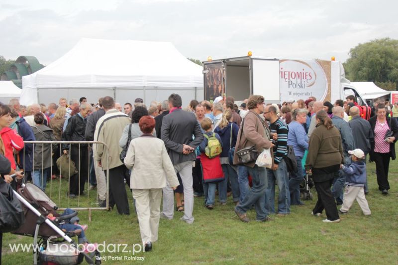 Świętomięs Polski w Chorzowie