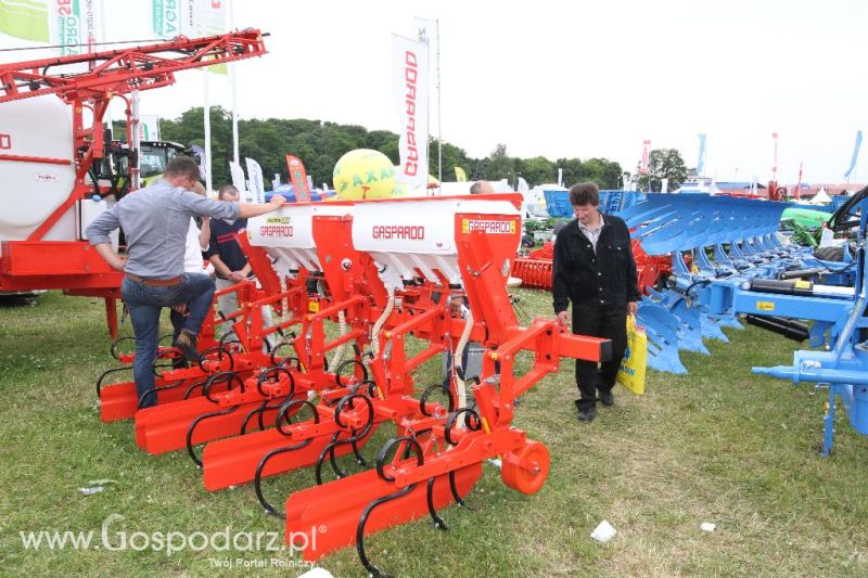 VIII Ogólnopolska Wystawa Bydła Hodowlanego, XXI Regionalna Wystawa Zwierząt Hodowlanych i Dni z Doradztwem Rolniczym w Szepietowie