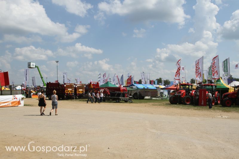  Regionalna Wystawa Zwierząt Hodowlanych W Szepietowie 2016 z Gospodarz.pl