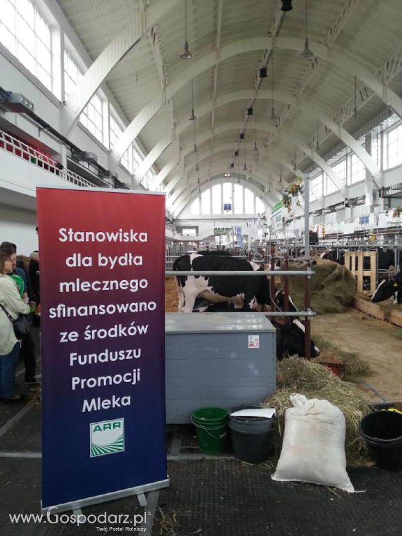 XXVI Krajowa Wystawa Zwierząt Hodowlanych - sobota i niedziela
