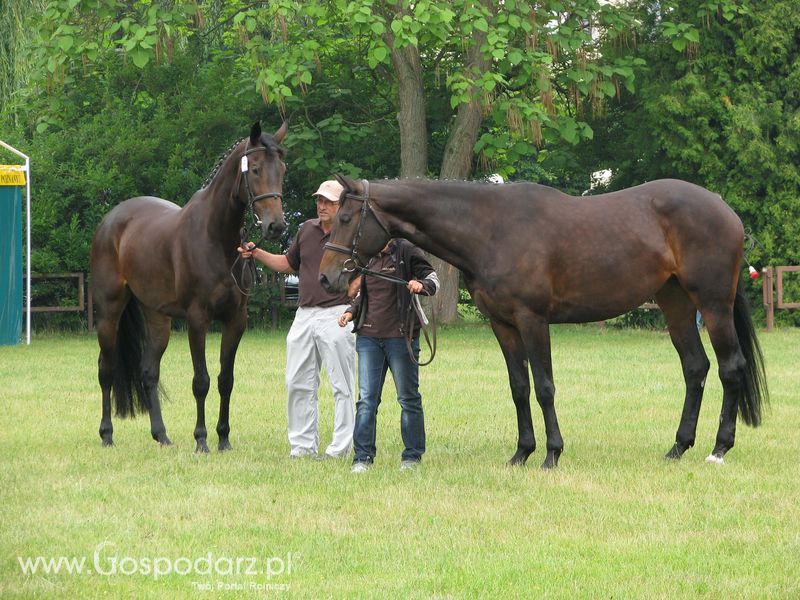 Wystawa Koni Sielinko 2011
