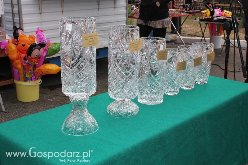 XX Agro-Targi 2011 w Starej Łubiance