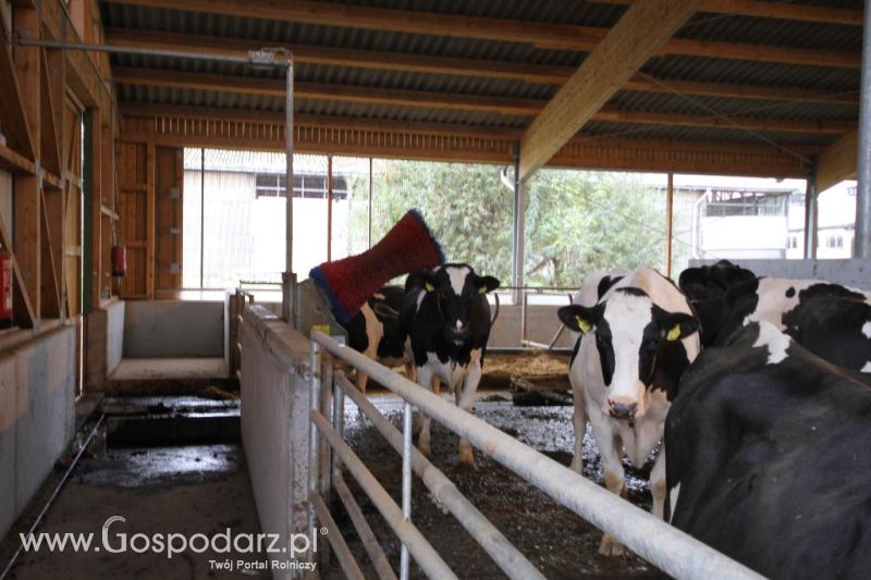 Wyjazd studyjny na farmę Langengrassau w Niemczech